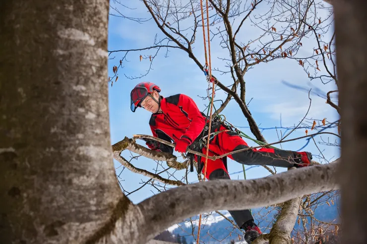 Veste PFANNER ARBORIST - Rouge — 2
