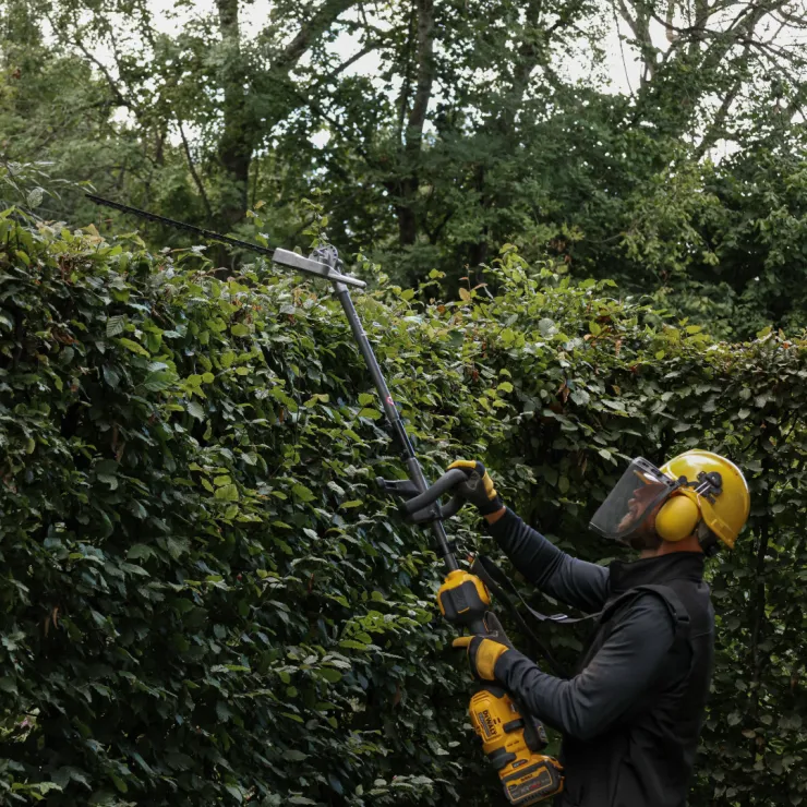 Outil taille-haies DEWALT DCMASPH6N-XJ — 5