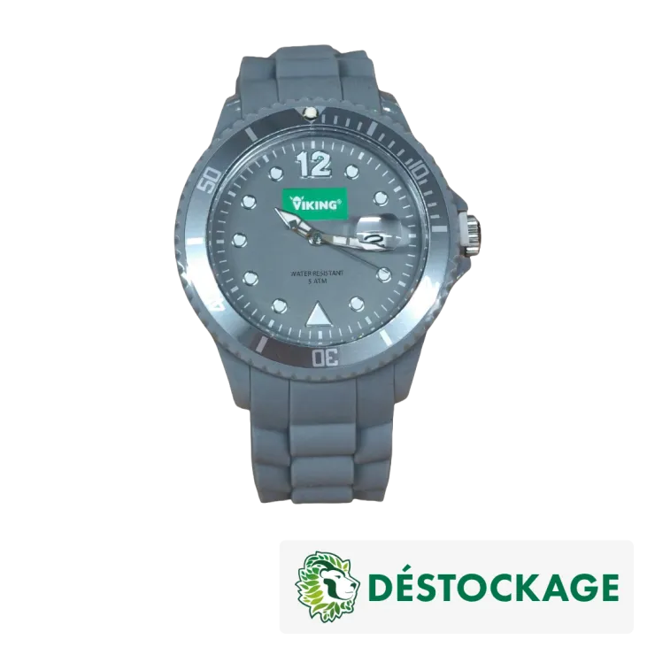 Déstockage - Montre VIKING — 1