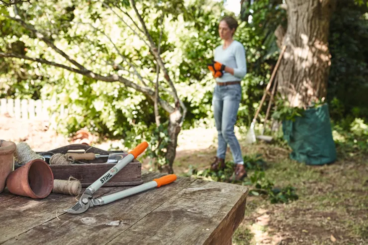 Ebrancheur Bypass STIHL PB 10 — 5
