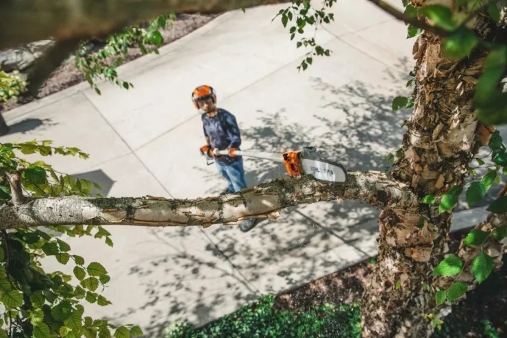 Perche d'élagage thermique STIHL HT 135 — 3