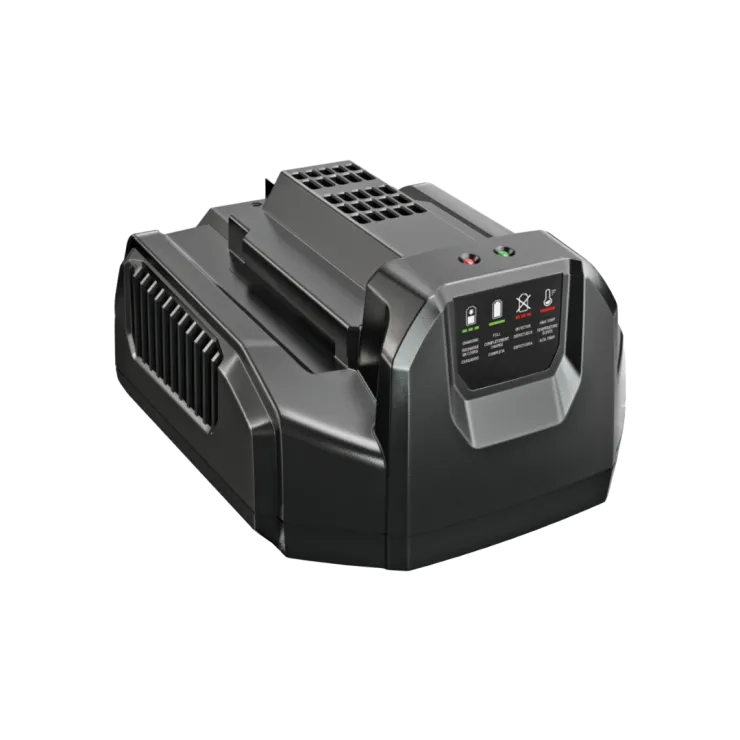 Chargeur standard EGO POWER+ CH2100E — 2