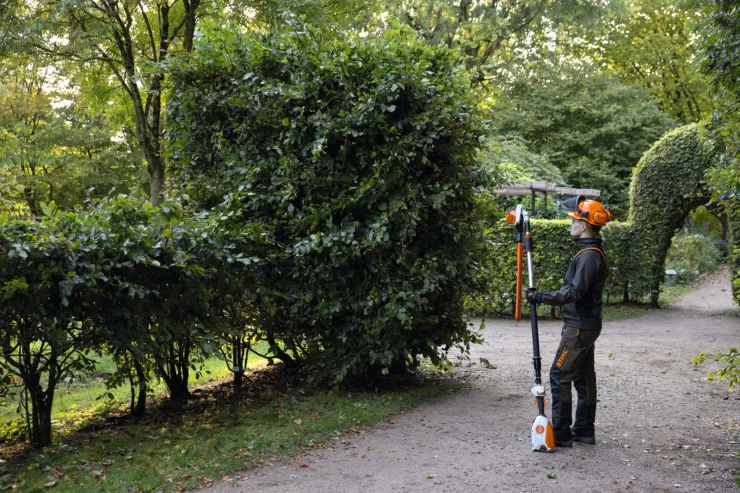 Taille-haies sur perche à batterie STIHL HLA 86 — 5