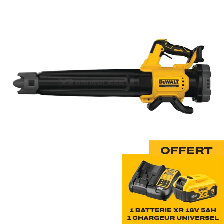 Souffleur à batterie DEWALT DCMBL562 - Starter pack offert — 1
