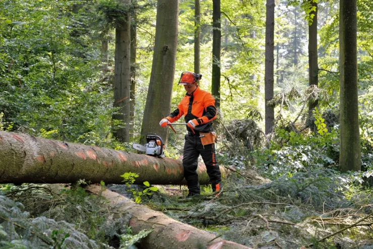 Pantalon anti-coupure STIHL DYNAMIC A2 - Classe 1 - Type A — 2