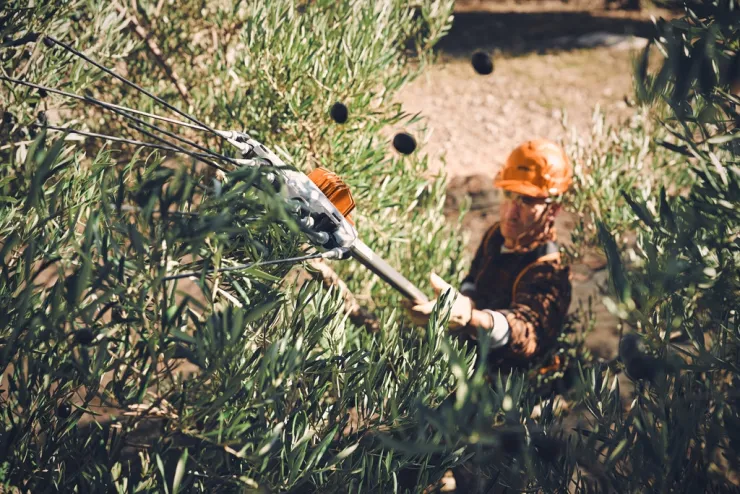 Secoueur d'olives à batterie STIHL SPA 130 — 5