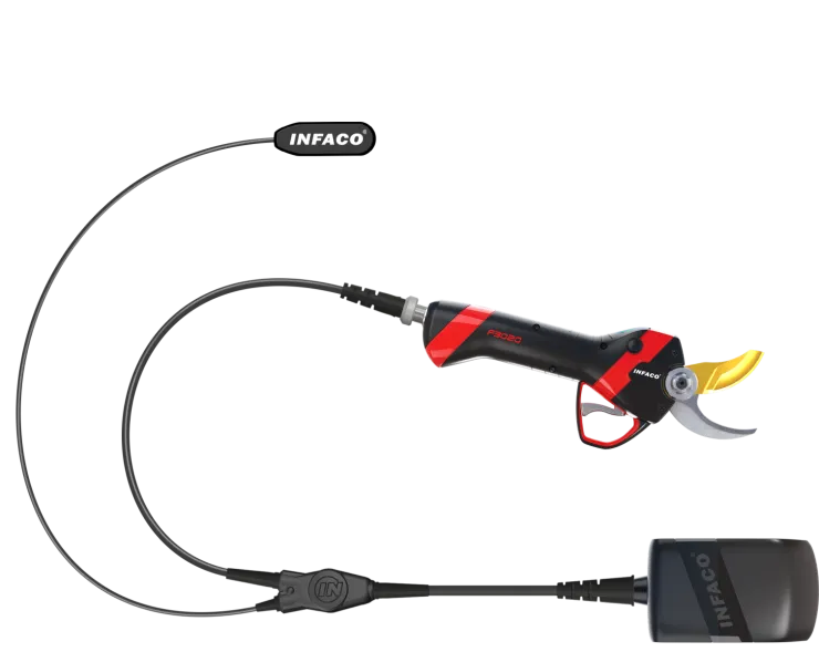 Système de sécurité DSES INFACO F3020 — 2