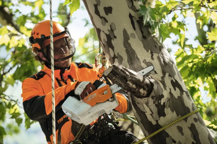 Élagueuse à batterie STIHL MSA 161 T — 5
