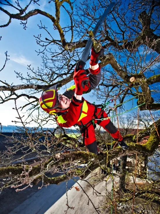 Casque Protos® Integral Arborist (Rouge et Jaune Fluo) — 3