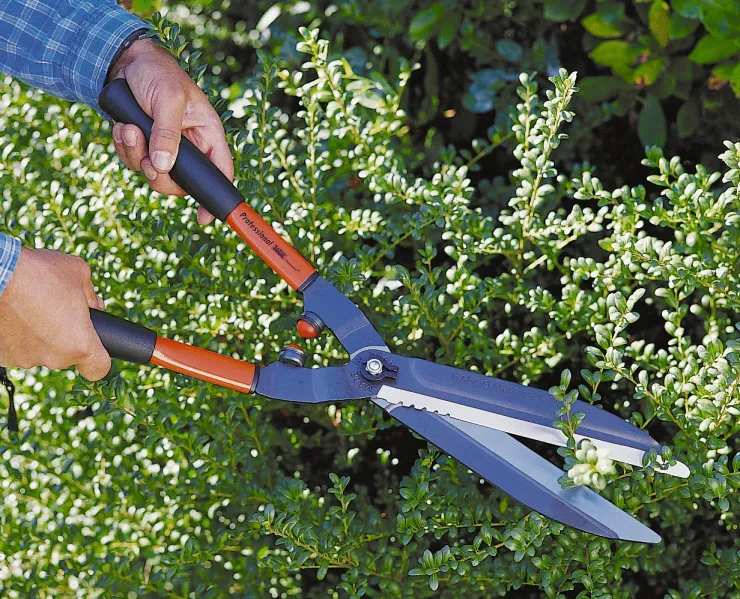 Cisaille à haies BAHCO P51-F — 6