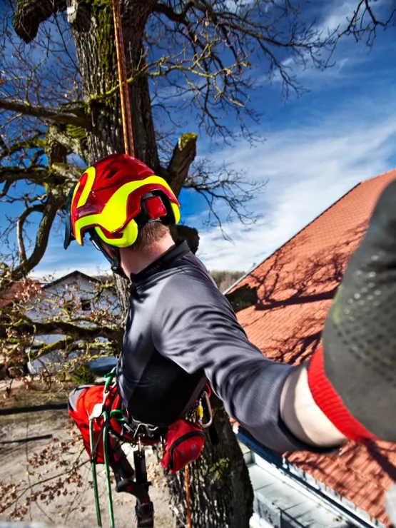 Casque Protos® Integral Arborist (Rouge et Jaune Fluo) — 2