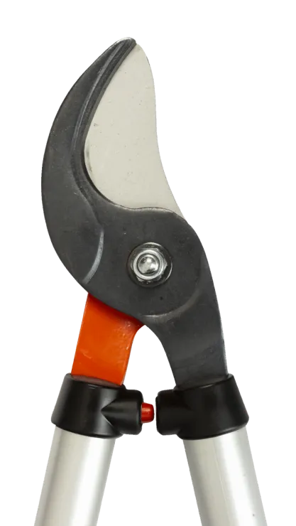 Ébrancheur télescopique BAHCO PG-19-F — 3