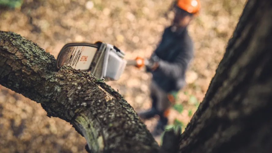 Zoom sur la Perche d'élagage à batterie STIHL HTA 160