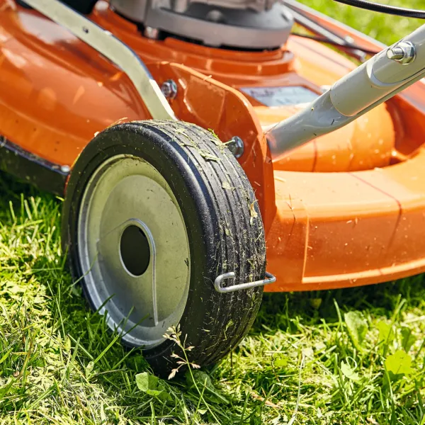 Tonte : Pourquoi adopter le mulching ?