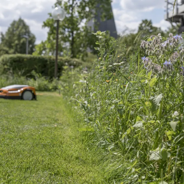 Rendre le jardin attrayant pour les propriétaires et les animaux