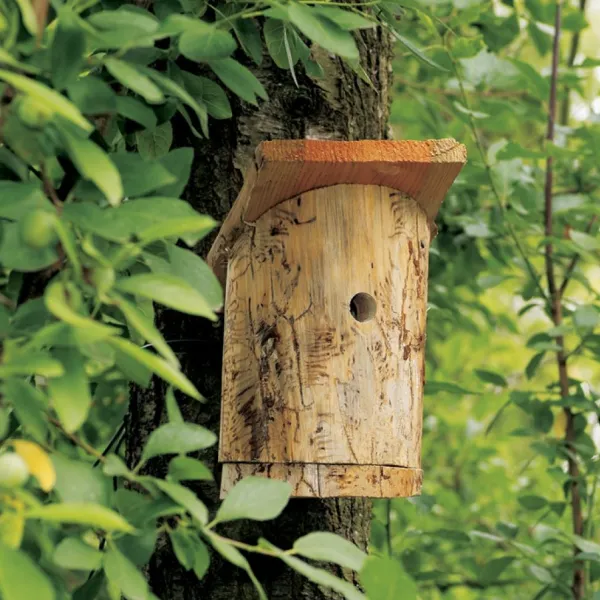 Fabriquer un nichoir pour les oiseaux