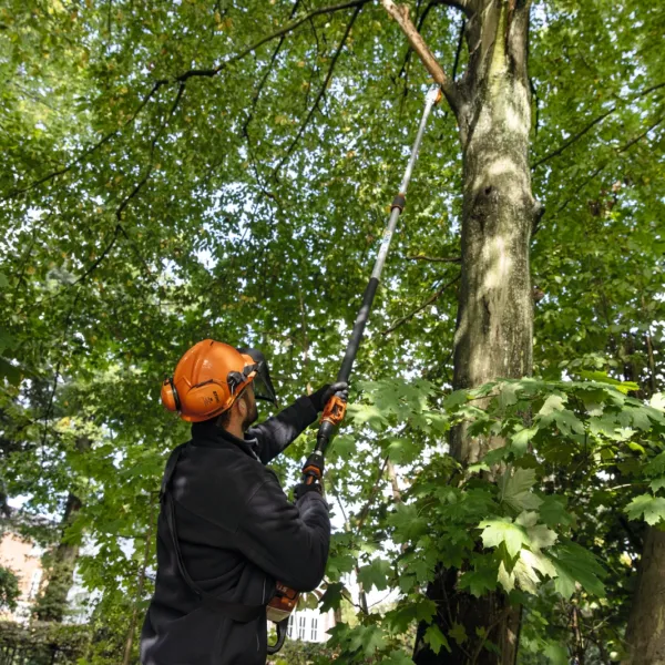 Perches d'élagage