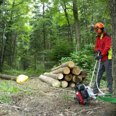 Outils d'affûtage pour matériels forestiers et de jardinage 