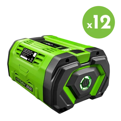 EGO Pack 12 batteries EGO POWER+ PACK-12-BA6720T