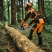 Tronçonneuse thermique STIHL MS 300 C-M - vue 6