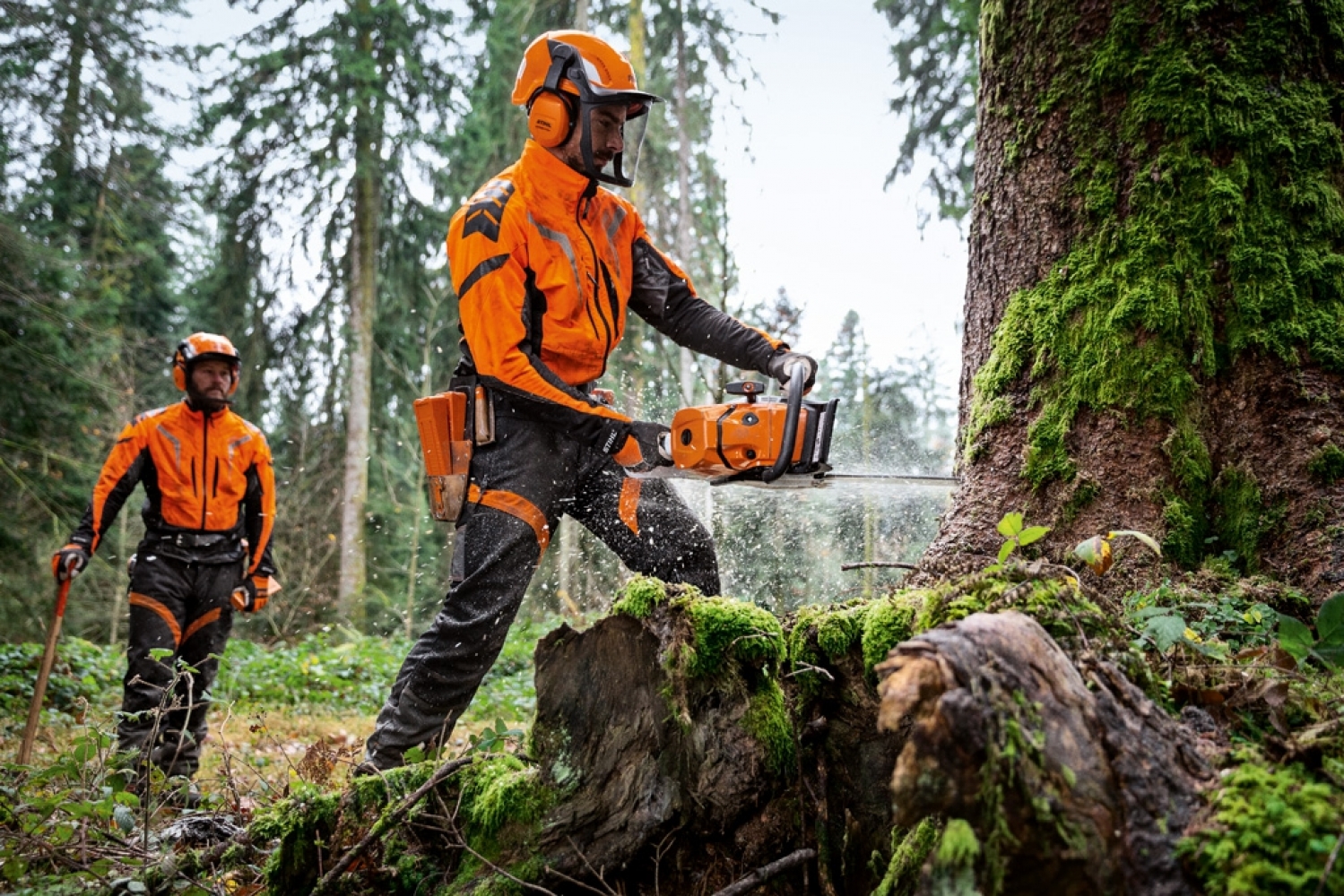 Présentation de la nouvelle Stihl MS 500i - Lambin