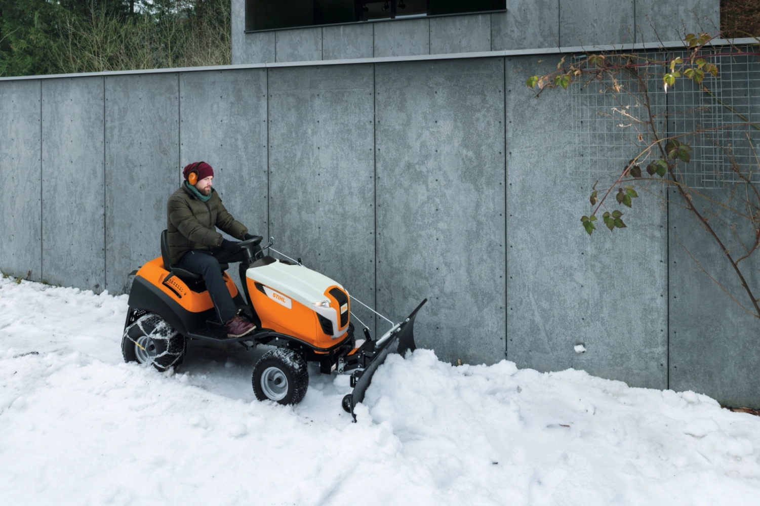 Fraise a neige  Buisson et fils