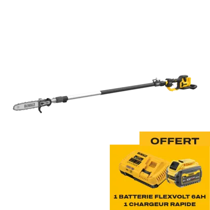 DEWALT &Eacute;lagueuse sur perche &agrave; batterie DEWALT DCMPS640 - Starter pack