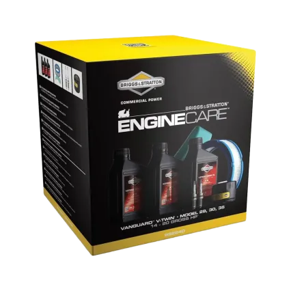 BRIGGS & STRATTON Kit maintenance Vanguard V-Twin