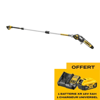 DEWALT &Eacute;lagueuse sur perche &agrave; batterie DEWALT DCMPS567 - Starter pack offert