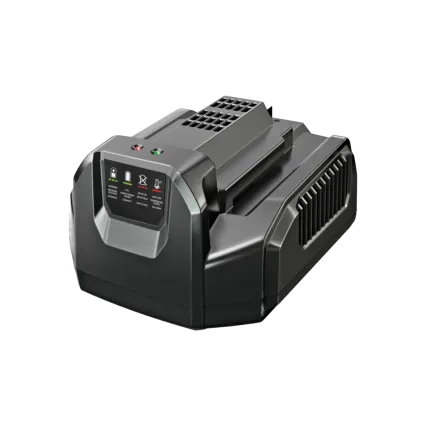 EGO Chargeur standard EGO POWER+ CH2100E