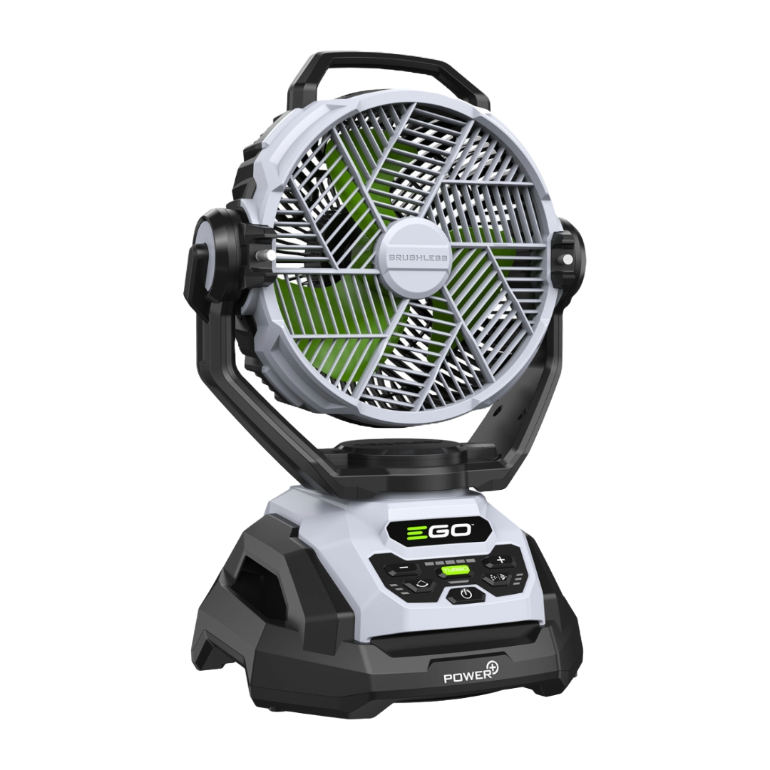 VENTILATEUR DE PERFORMANCE Fan Kung-fu Pivoine Pliant Ancien Adepte Du