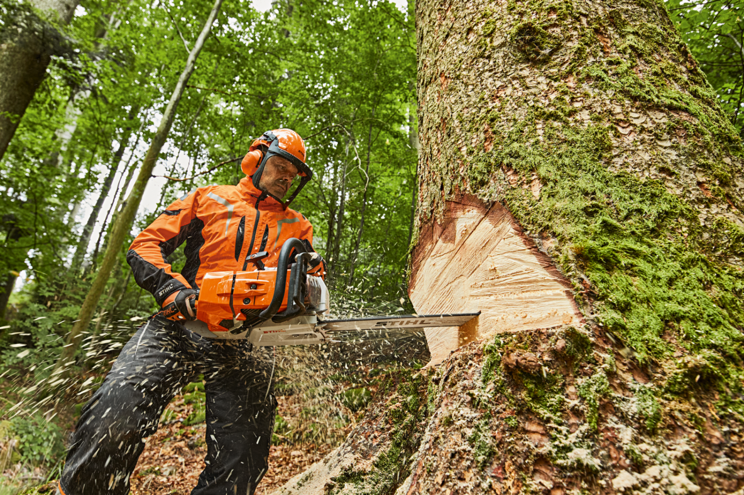 Tronçonneuse MS 881 STIHL - La plus puissante tronçonneuse de série au  monde | KING VERT