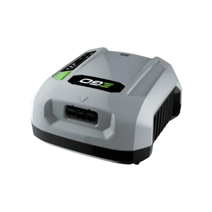 EGO Chargeur professionnel EGO POWER+ CHX5500E