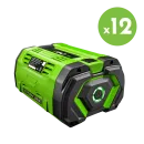 Pack 12 batteries EGO POWER+ PACK-12-BA5600T