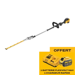 Taille-haies sur perche à batterie DEWALT DCMPH622N-XJ