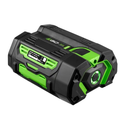 Batterie EGO POWER+ BA2242T