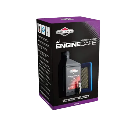 BRIGGS & STRATTON Kit maintenance serie 625, 650, 675