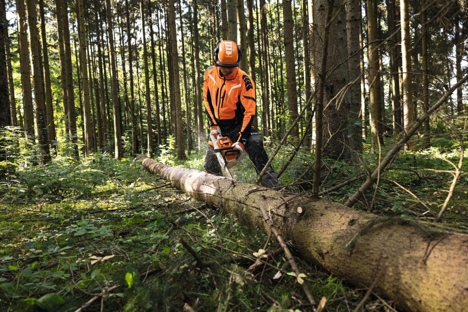 Tronçonneuse à batterie STIHL MSA 300