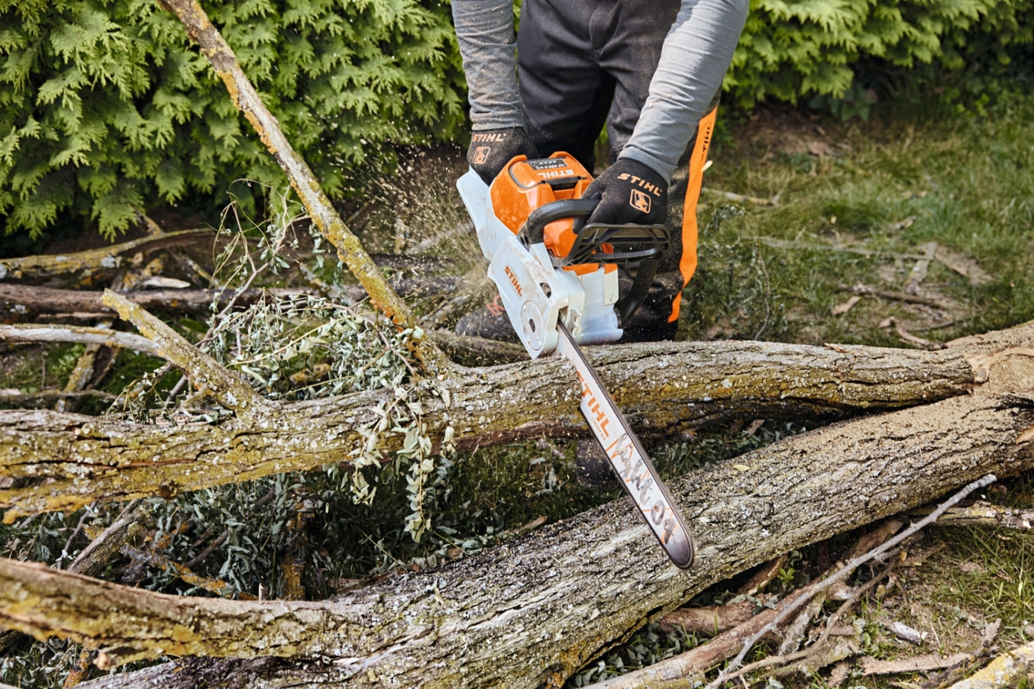 Tronçonneuse MSA 220 C-B STIHL - Puissance de coupe et un confort élevée