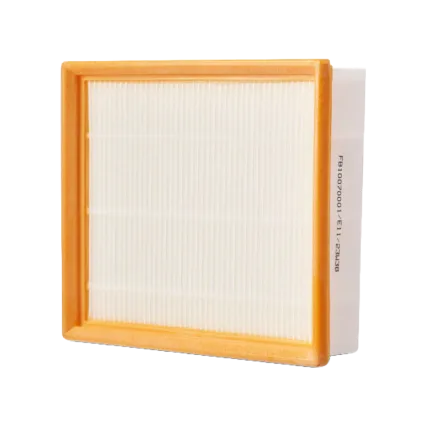 EGO Filtre pour aspirateur EGO AVF0900