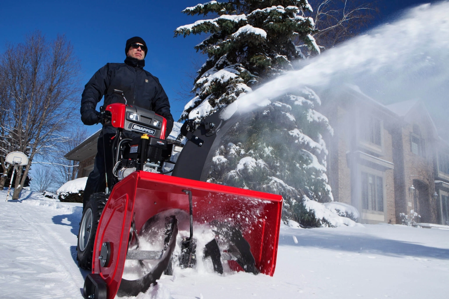 Fraise a neige  Buisson et fils