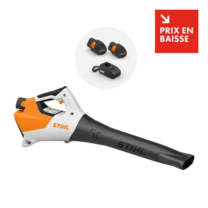 Souffleur à batterie STIHL BGA 30 pack 2 batteries