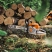 Tronçonneuse thermique STIHL MS 300 C-M - vue 4