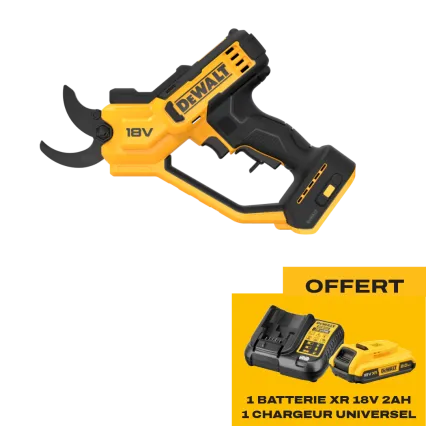 DEWALT S&eacute;cateur &agrave; batterie DEWALT DCMPP568 - Starter pack offert