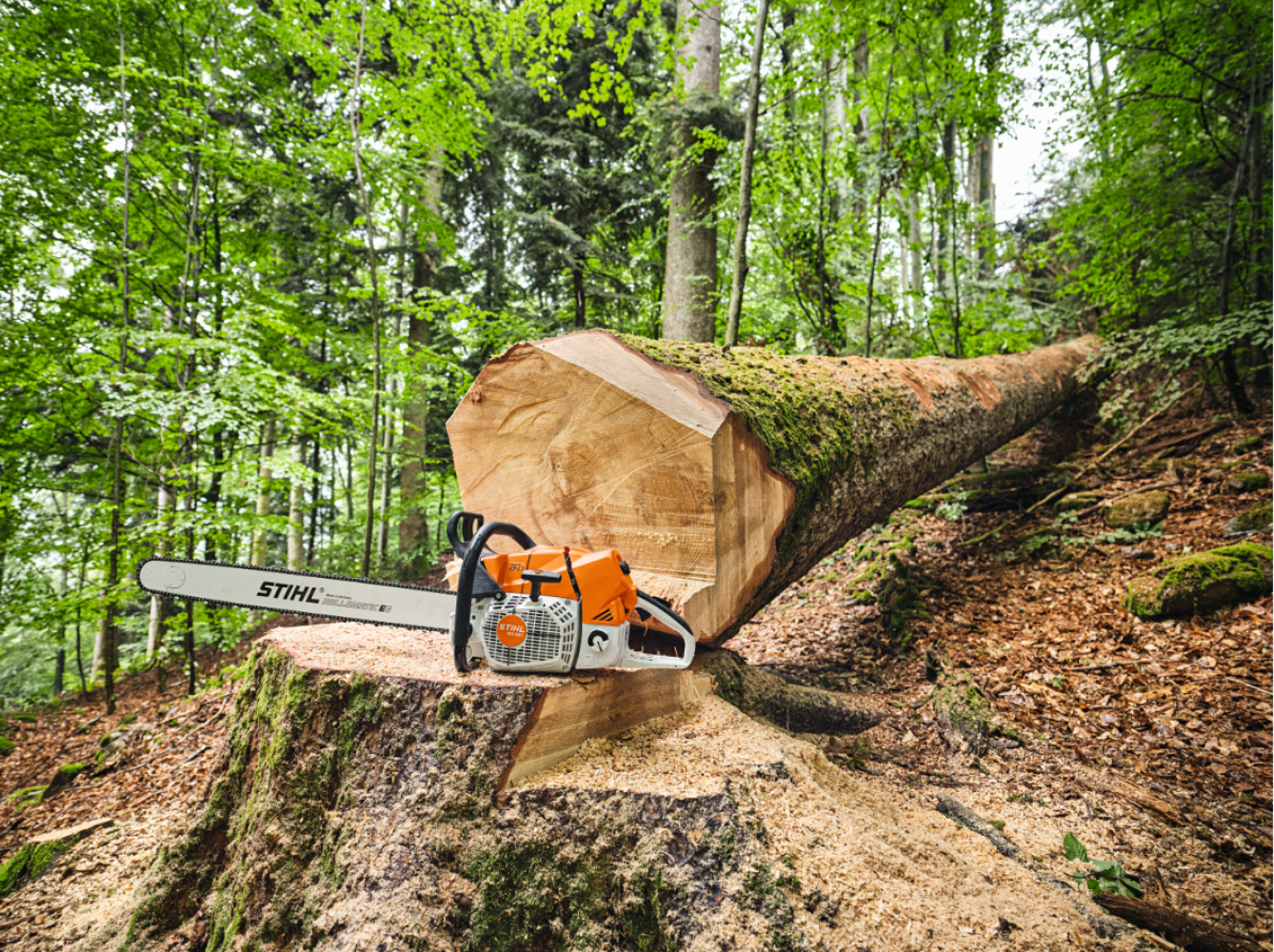 Tronçonneuse MS 881 STIHL - La plus puissante tronçonneuse de série au  monde | KING VERT