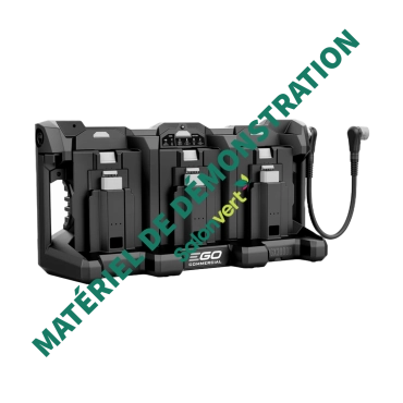 Station de charge 3 ports EGO POWER+ PGX3000D - Démonstration