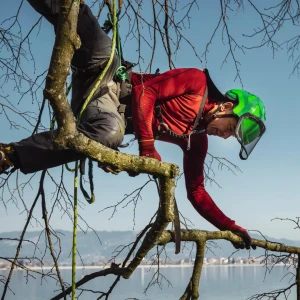 Les meilleurs accessoires pour casques forestiers PROTOS