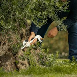 Le sécateur à batterie STIHL ASA 20
