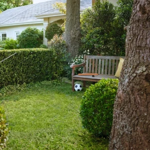 Aménager un petit jardin : conseils et matériel indispensable