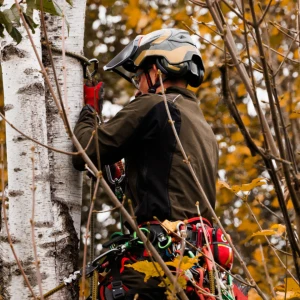 Nouveautés PFANNER 2026 : Technicité et confort au quotidien